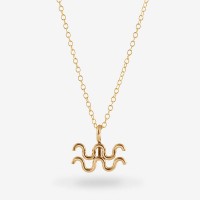 Vorschau: Astrology Aquarius - Halskette - 14k Gold Filled