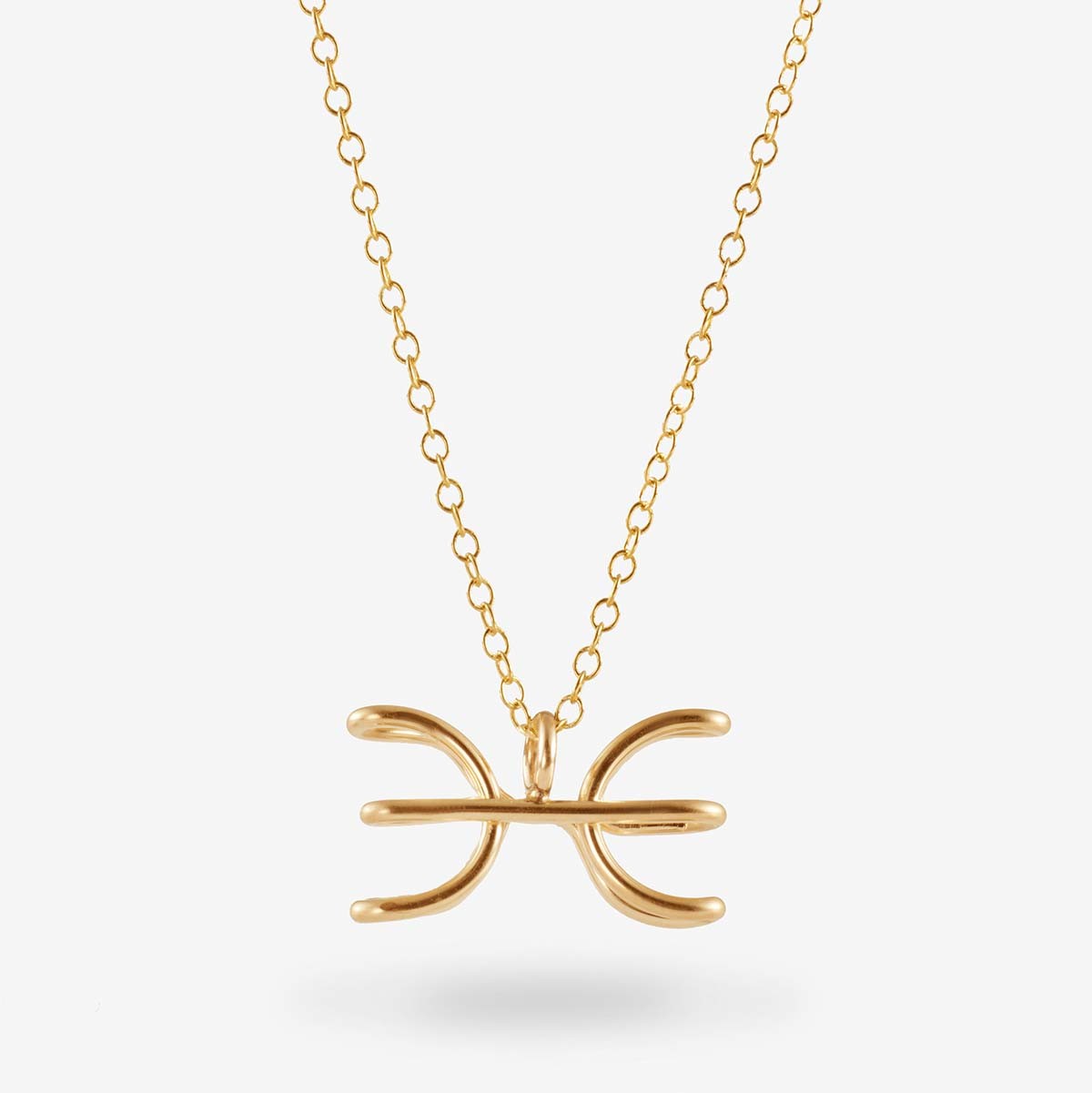 Astrology Pisces - Halskette - 14k Gold Filled