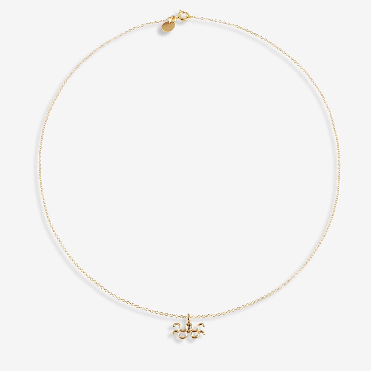 Astrology Aquarius - Halskette - 14k Gold Filled